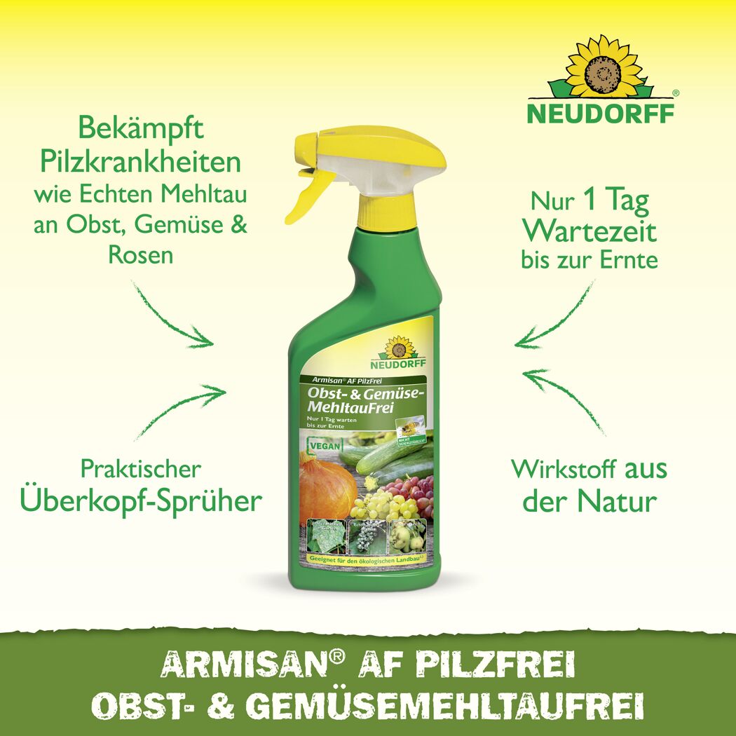Armisan AF Pilzfrei 500 ml