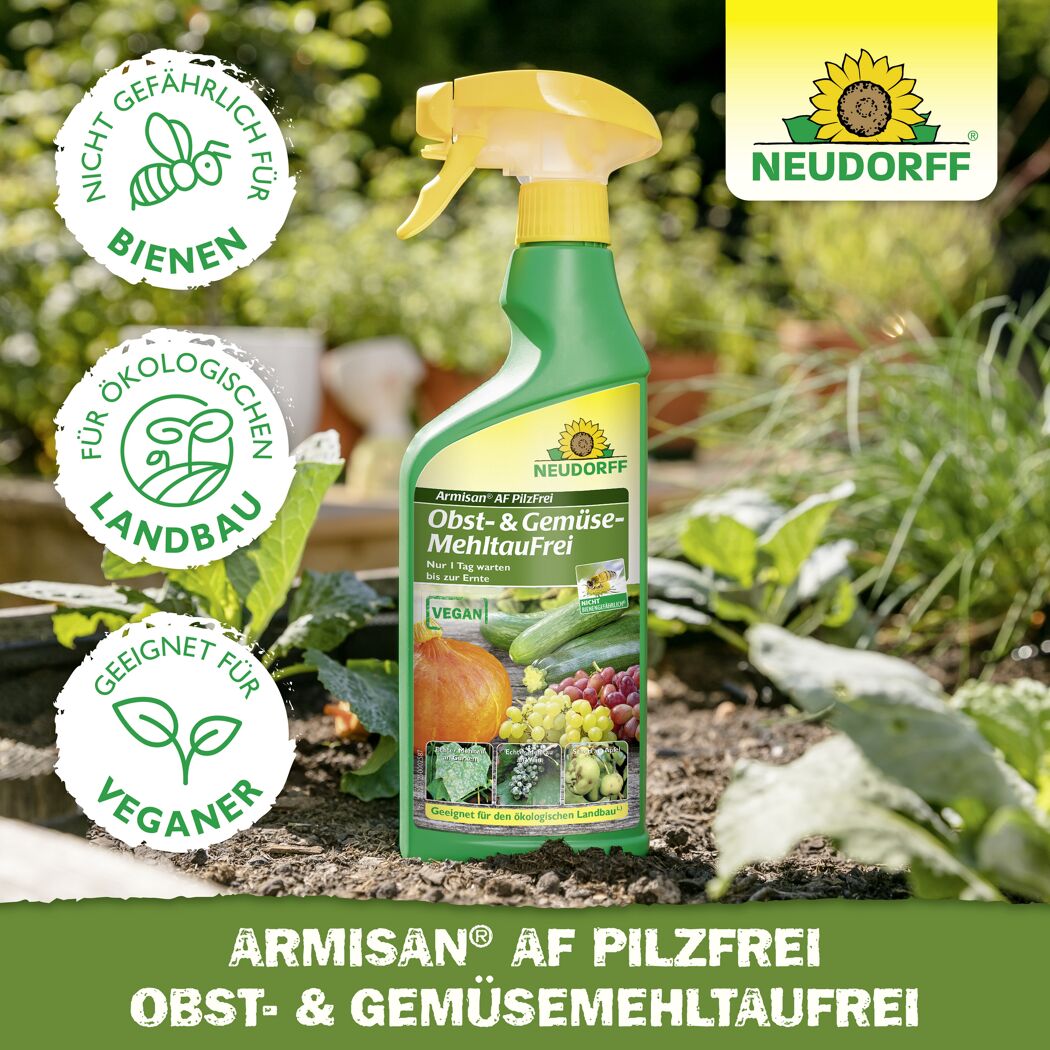 Armisan AF Pilzfrei 500 ml