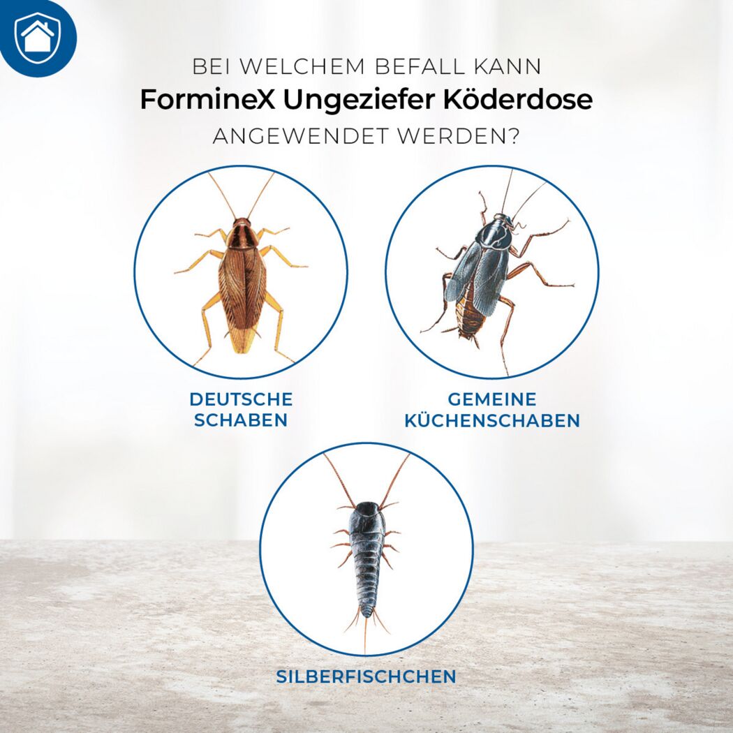 Illustrationen von Schaben und Silberfischchen für FormineX Köderdose