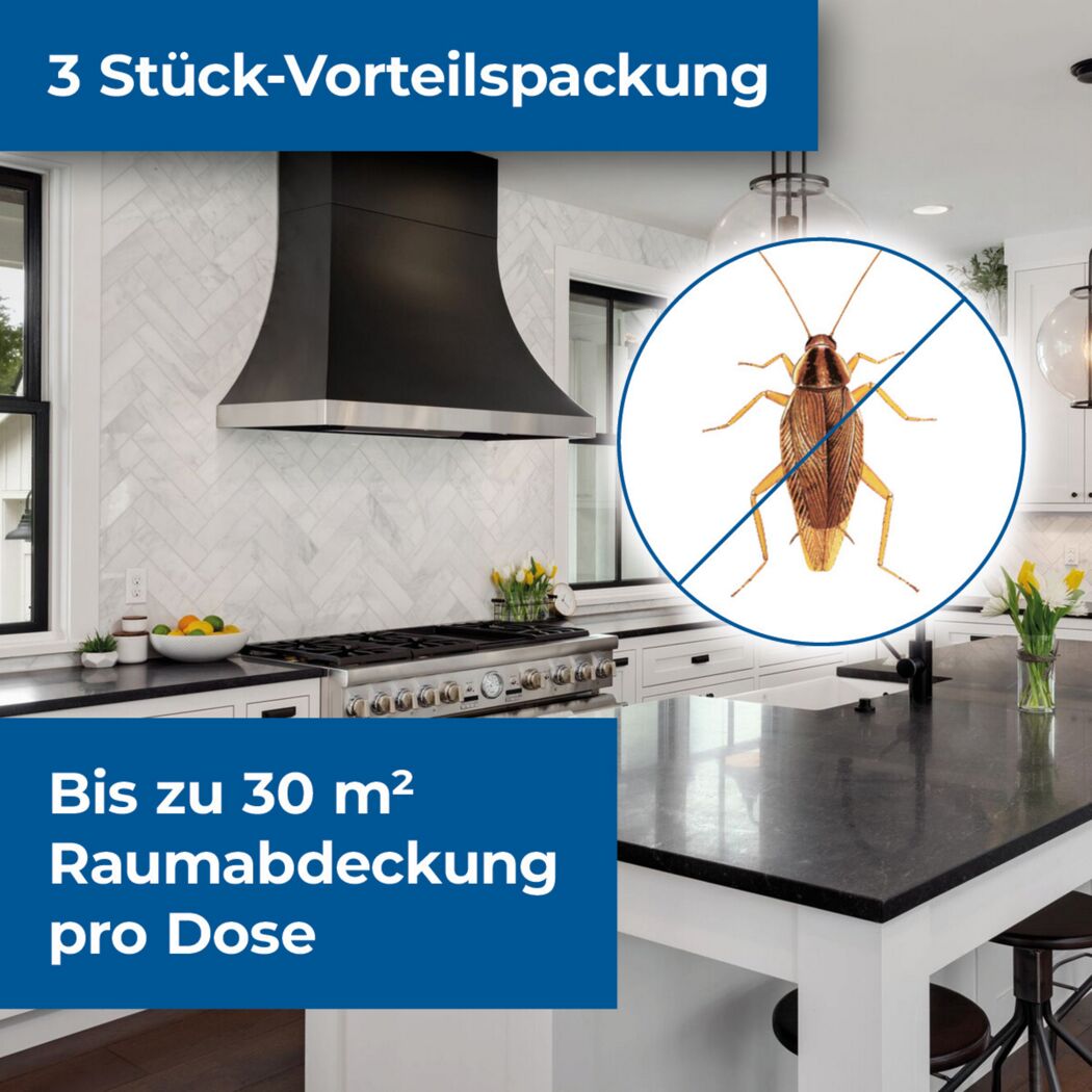 Küche mit durchgestrichenem Schaben-Symbol