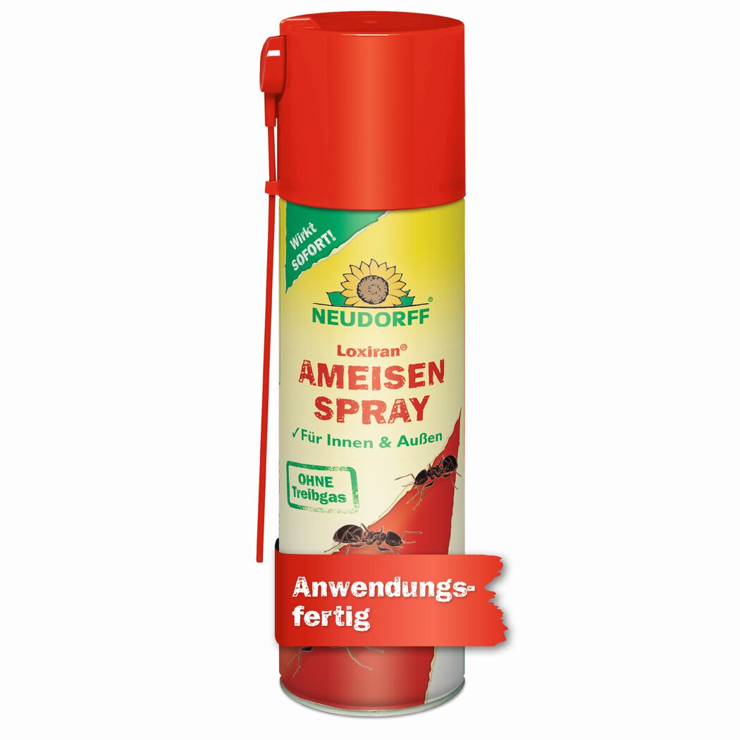 Loxiran Ameisenspray 200 ml