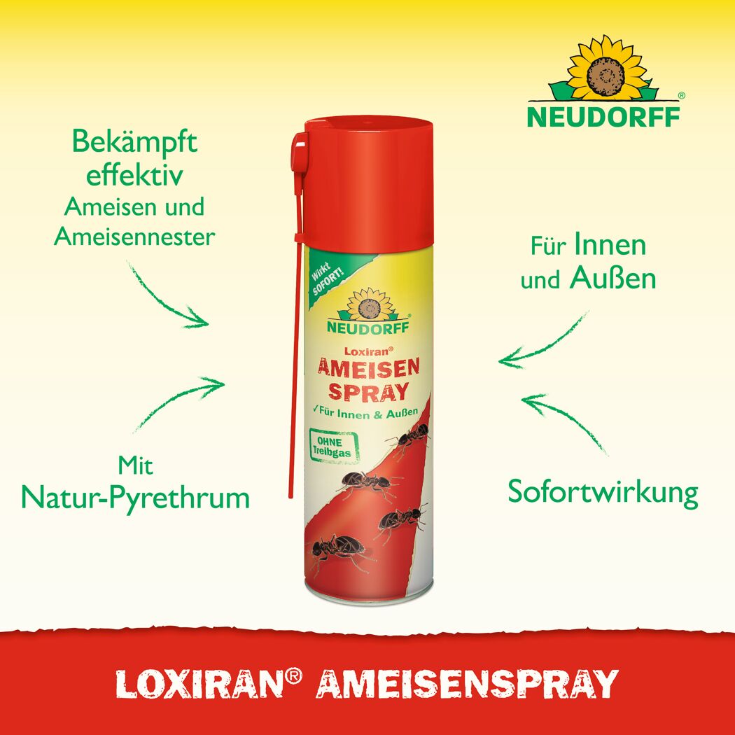 Loxiran Ameisenspray 200 ml