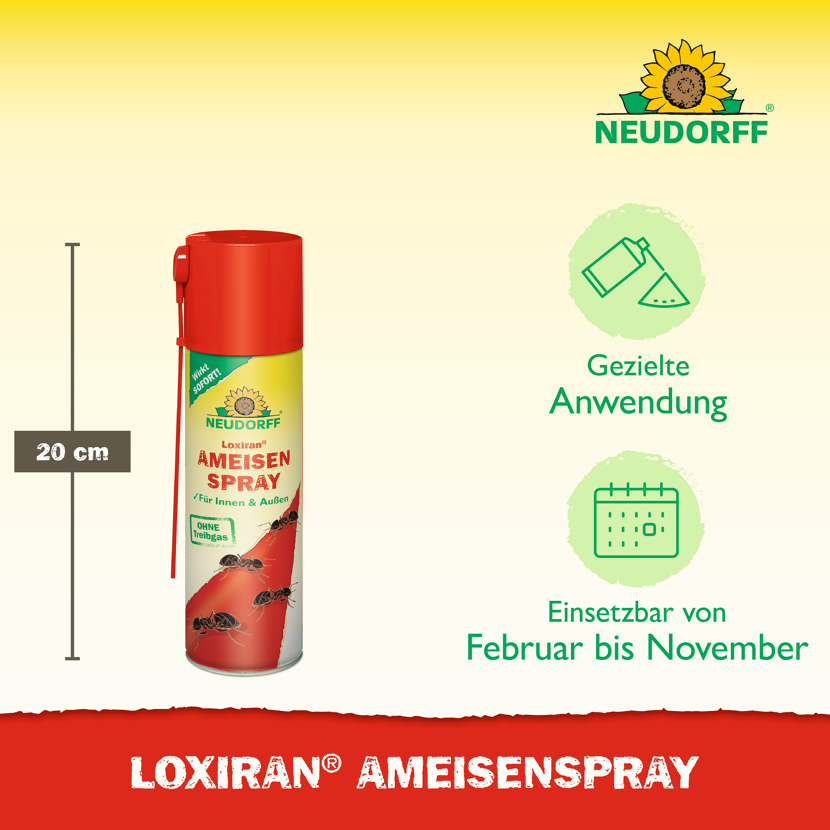 Loxiran Ameisenspray 200 ml