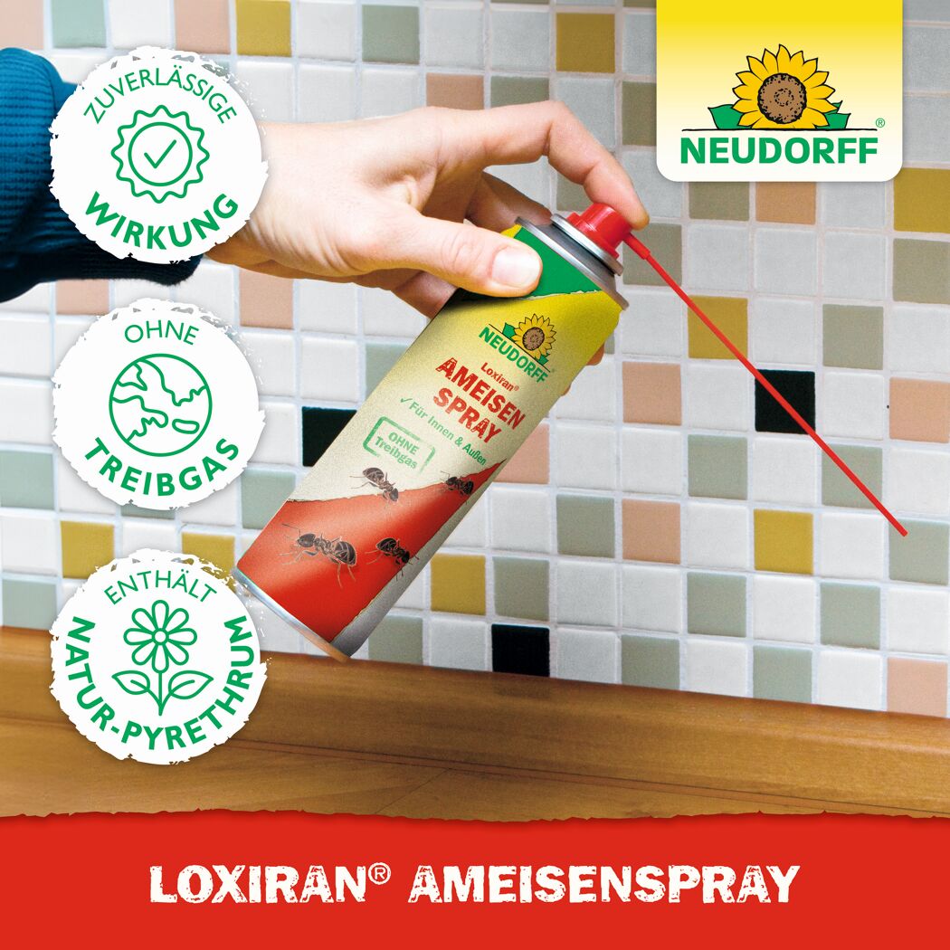 Loxiran Ameisenspray 200 ml