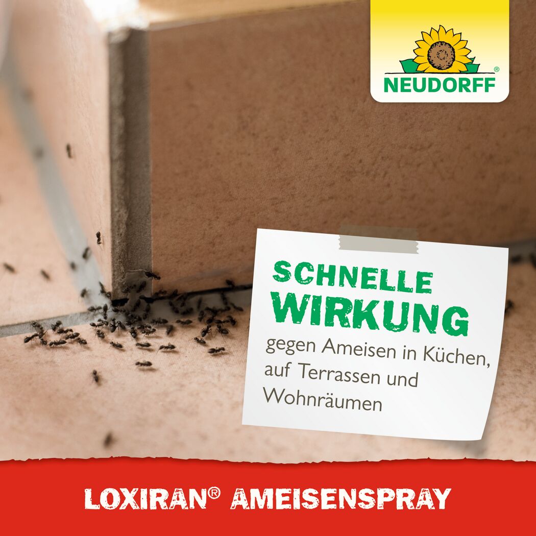 Loxiran Ameisenspray 200 ml