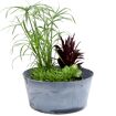 hauptbild
