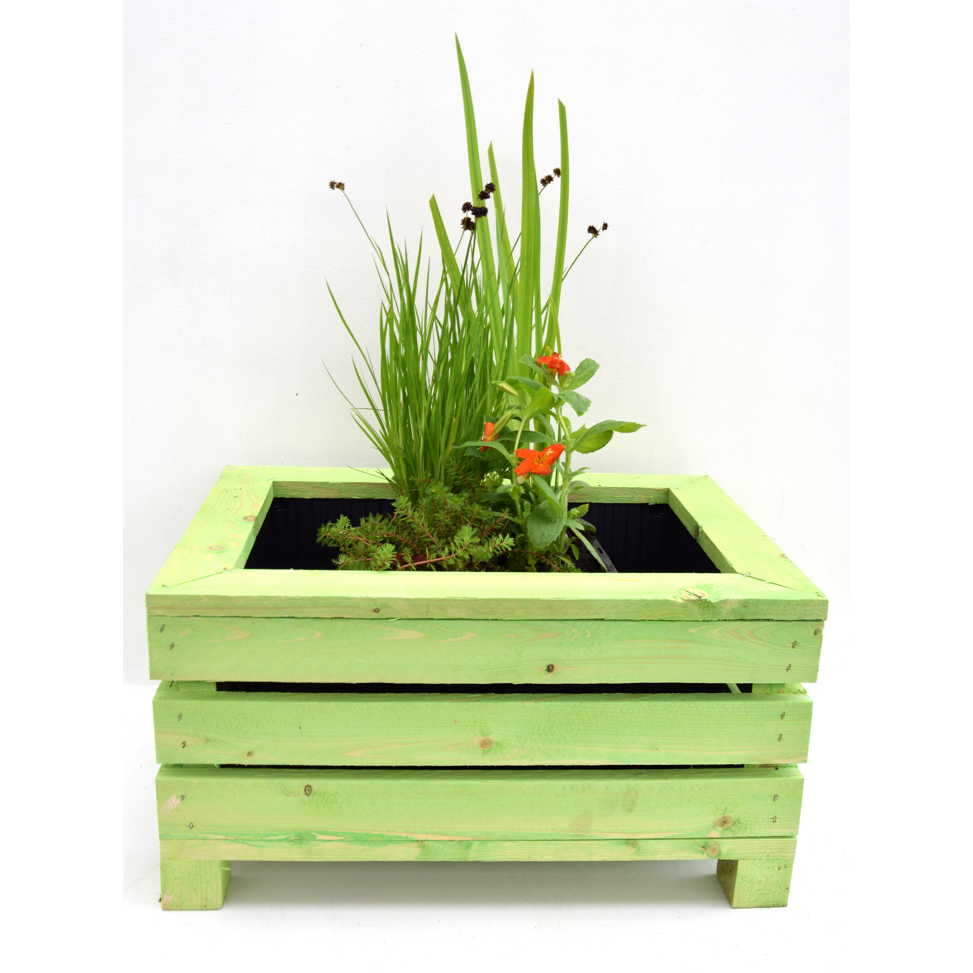 Mini-Teichkiste inkl. 4er Set Pflanzen, grün + product picture