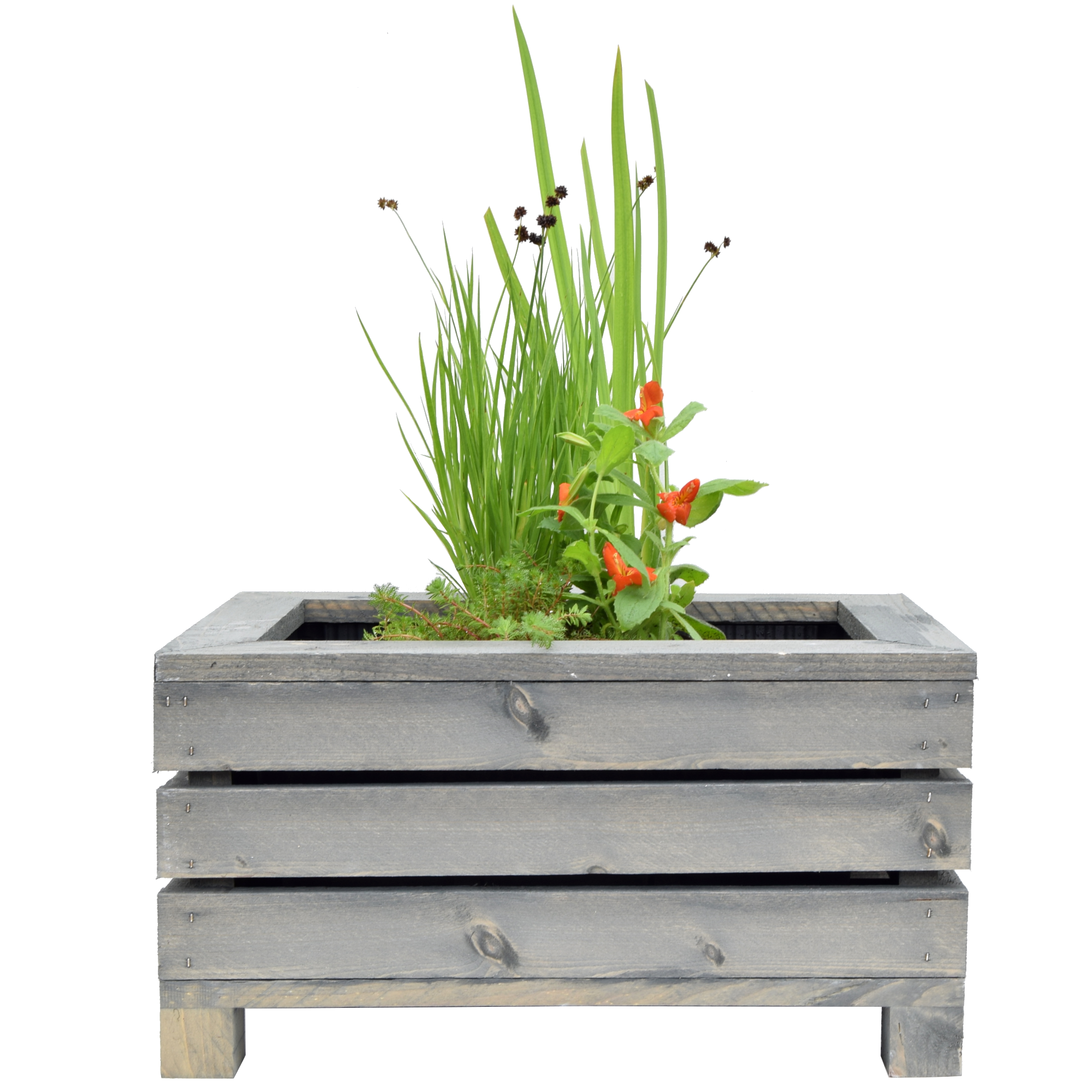 Miniteich-Set mit 4 Pflanzen und Teichkiste grau 45 x 32 x 21 cm + product picture