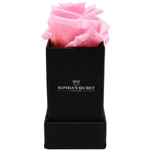 Rosenbox schwarz mit haltbarem rosa Rosenkopf