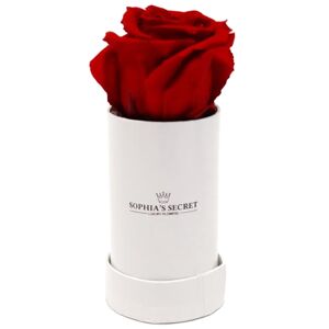 Rosenbox weiß mit haltbarem roten Rosenkopf