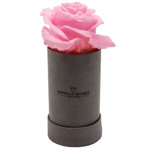 Rosenbox steingrau mit haltbarem rosa Rosenkopf