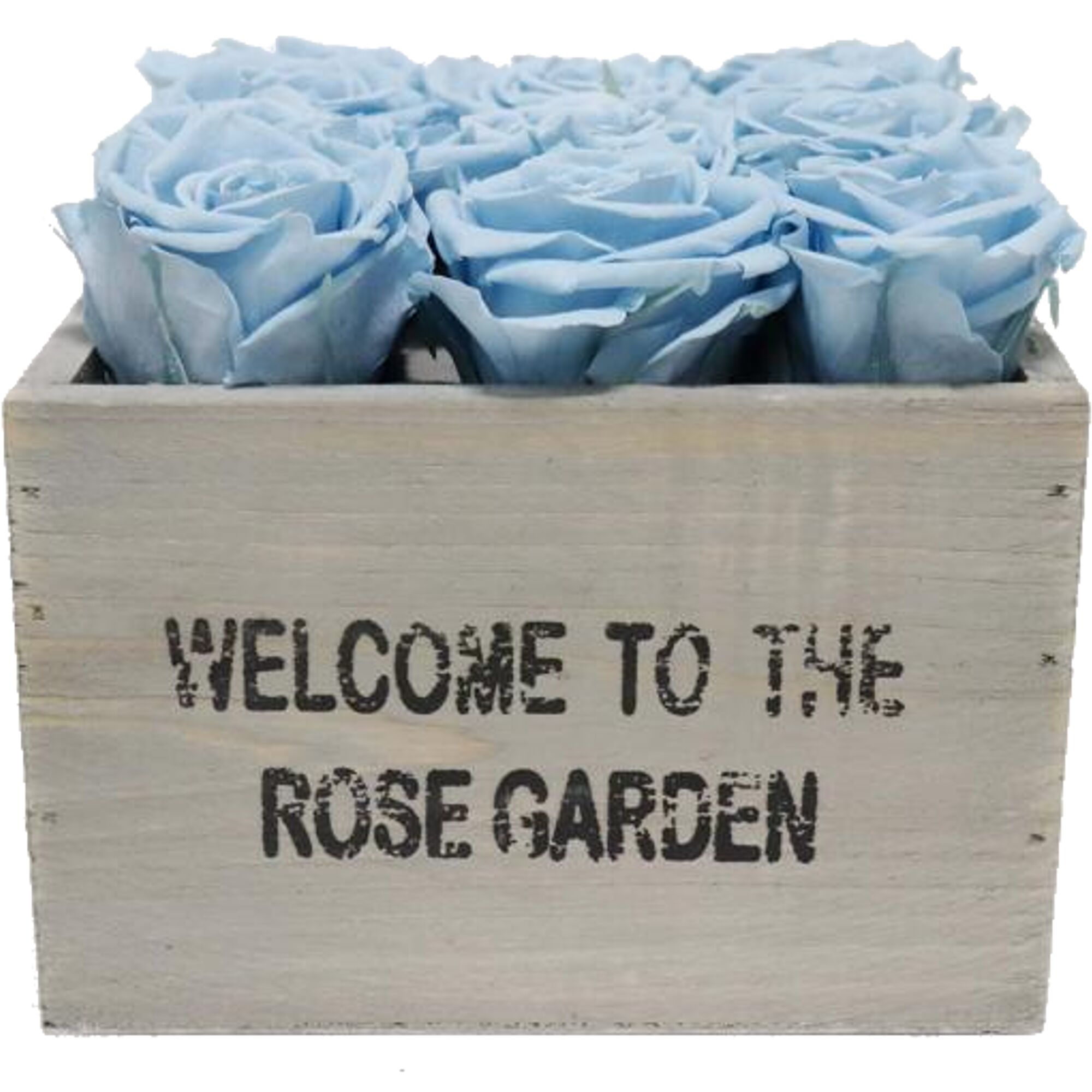 Hellblaue Rosen in Holzkiste mit der Aufschrift: Welcome to the Rose Garden