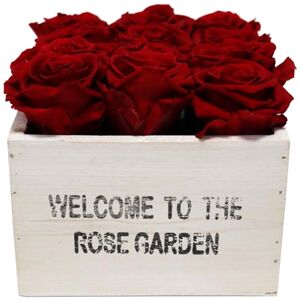 Rosenbox 'Rose Garden' weiß mit 12 haltbaren roten Rosen