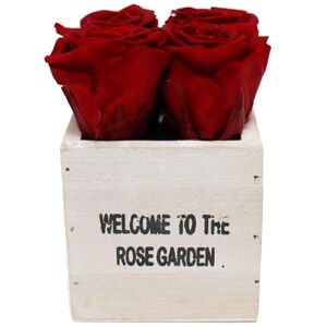Rosenbox 'Rose Garden' weiß mit 4 haltbaren roten Rosen