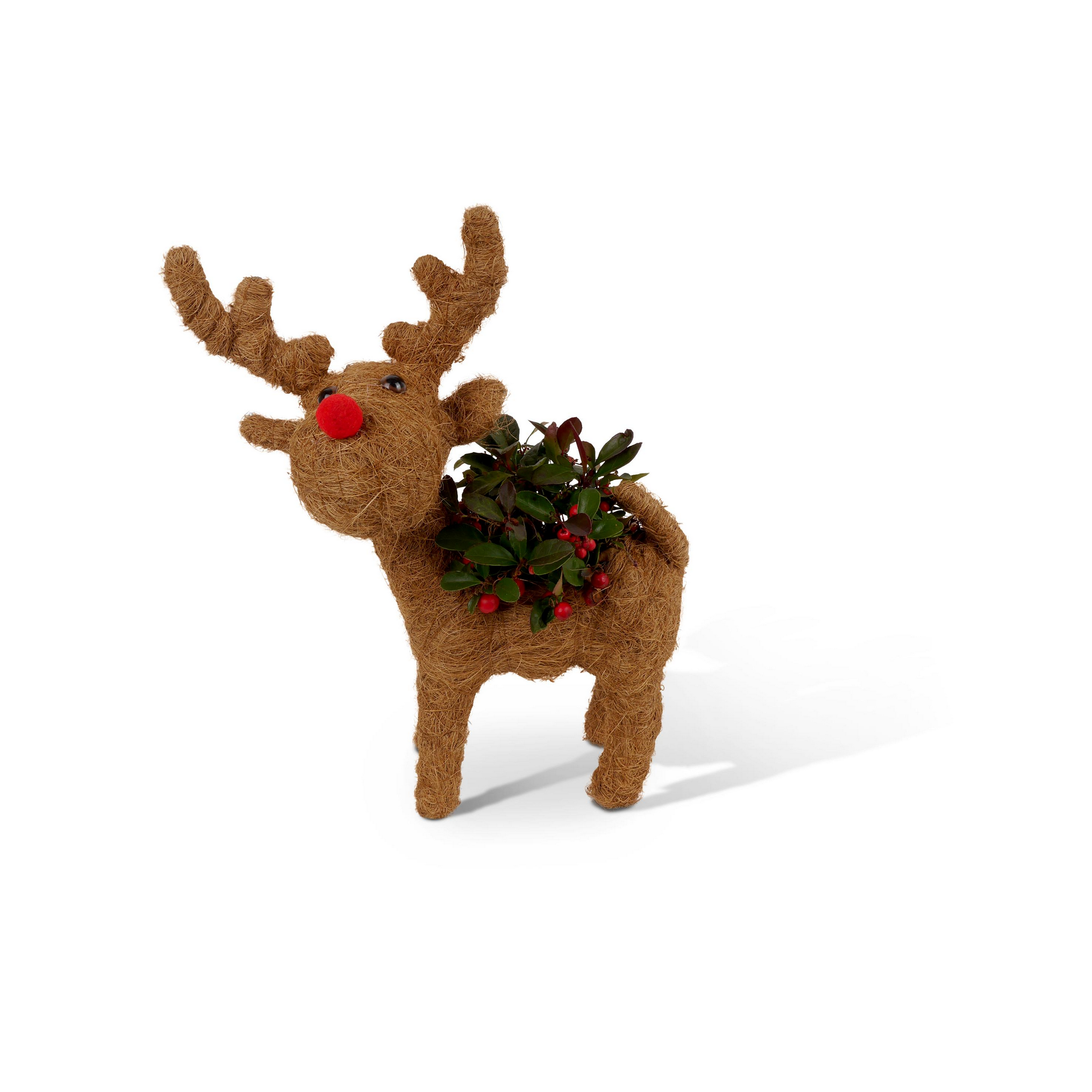 Dekofigur 'Weihnachts-Rentier' mit Scheinbeere, stehend + product picture