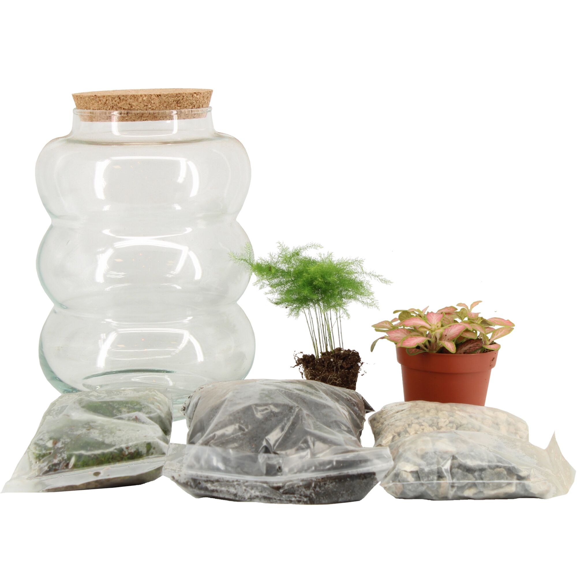 DIY Flaschengarten Set