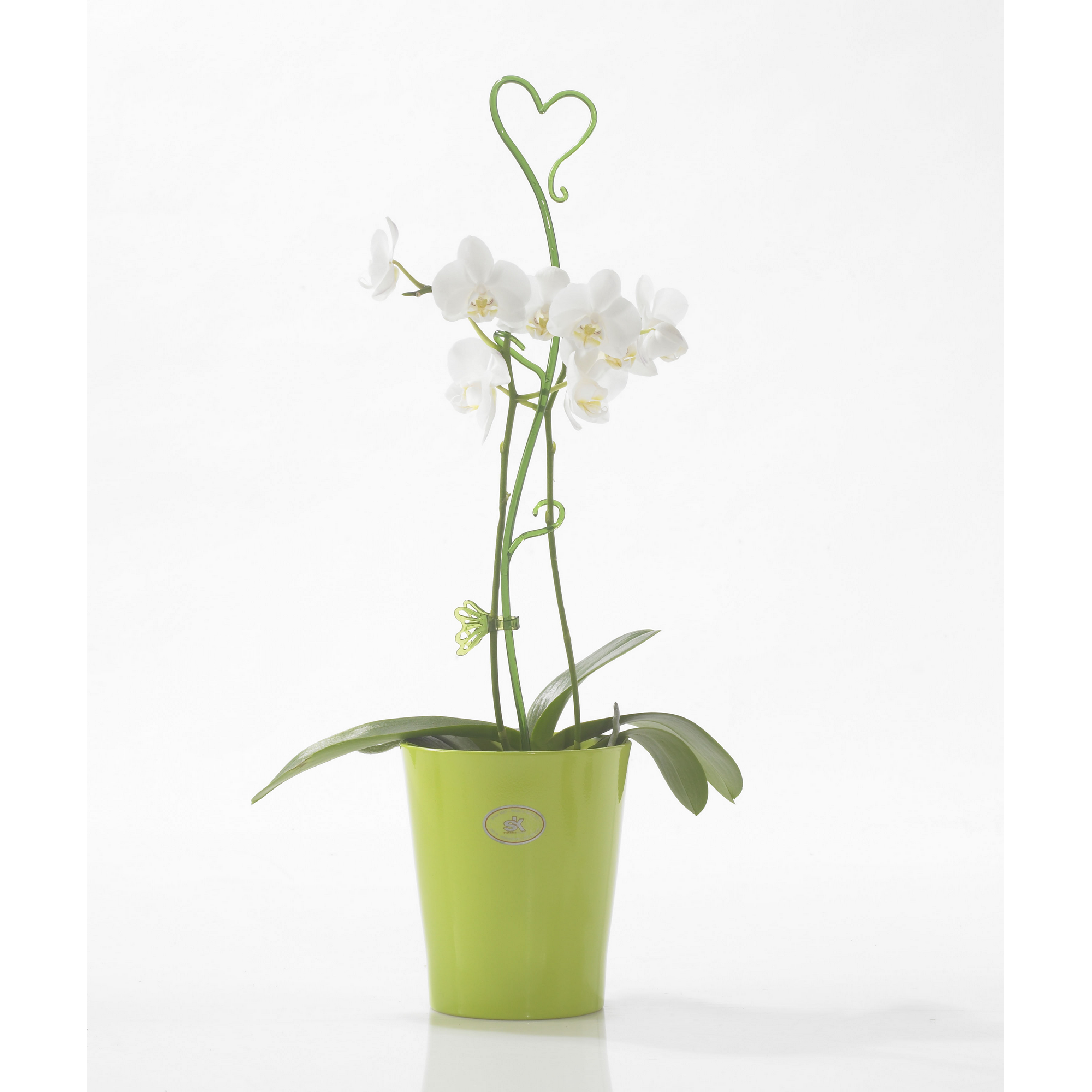 Orchideenclips 'Schmetterling' grün Ø 4 x 3 cm 2 Stück + product picture
