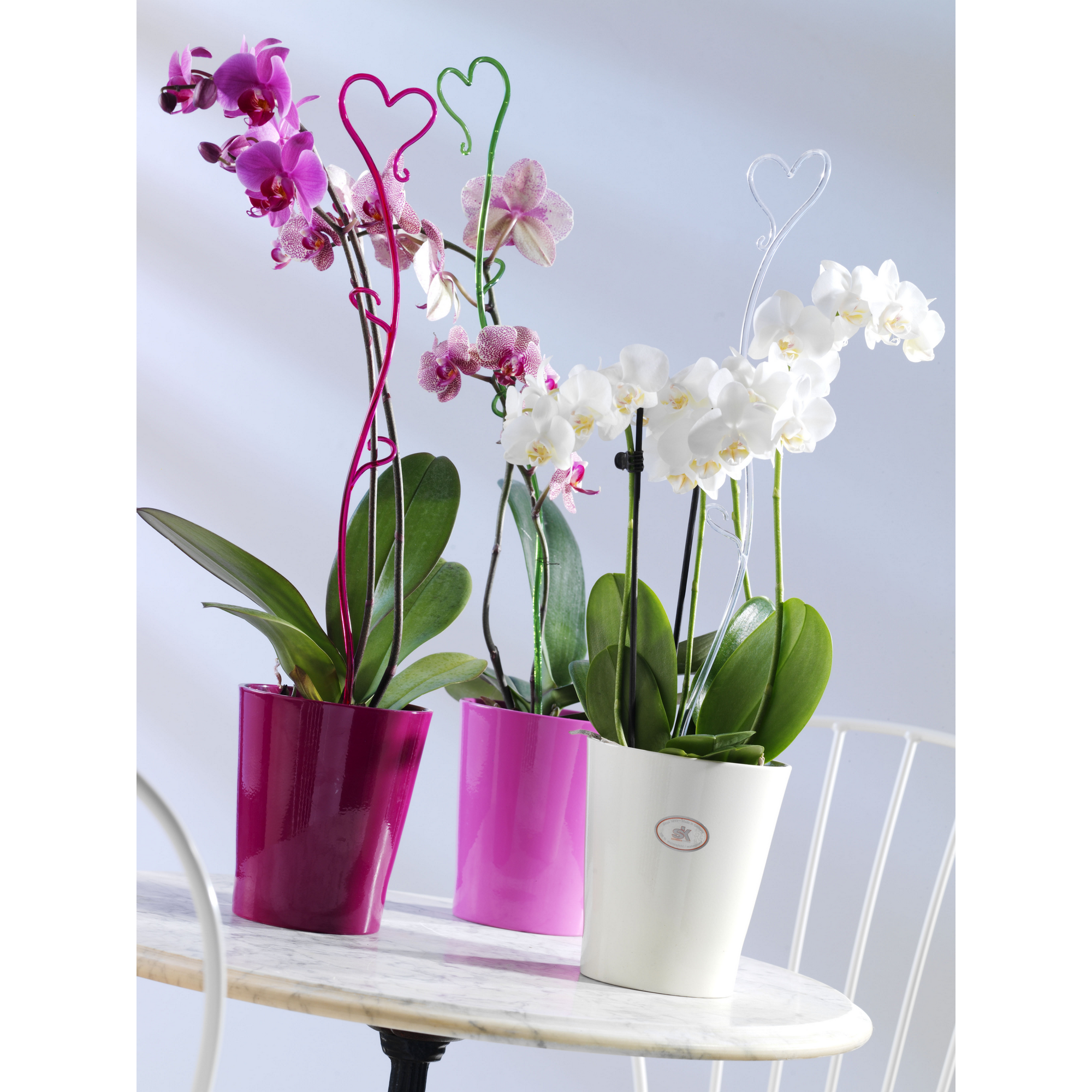 Orchideenstab Herz 55 cm transparent + product picture