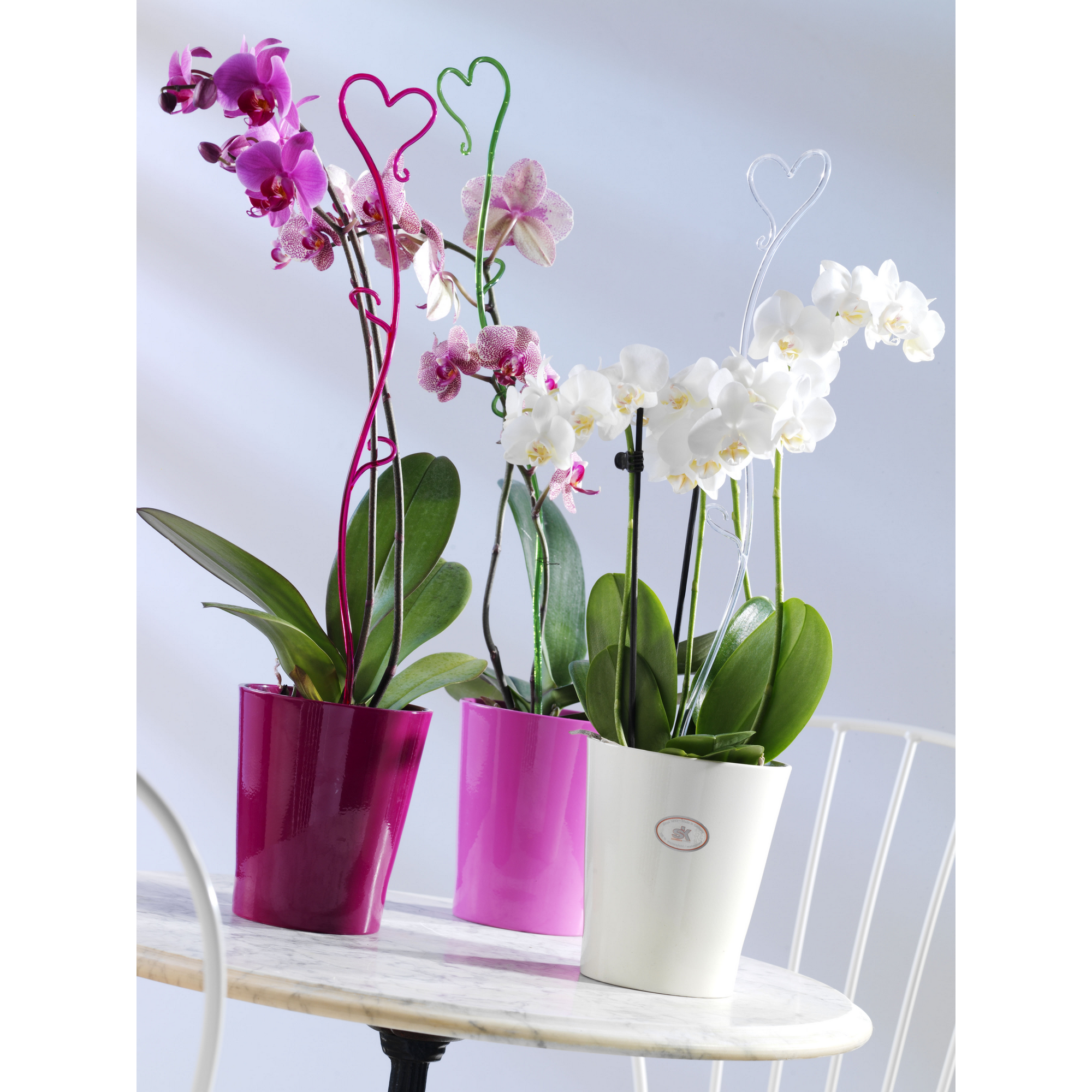 Orchideenstab Herz 55 cm rosa + product picture