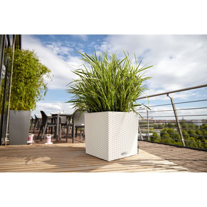 Weißer Übertopf Cube Cottage mit Pflanze