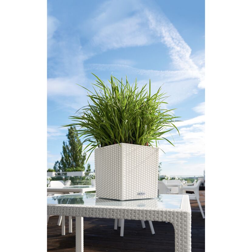Weißer Übertopf Cube Cotton mit Pflanze auf weißem Tisch