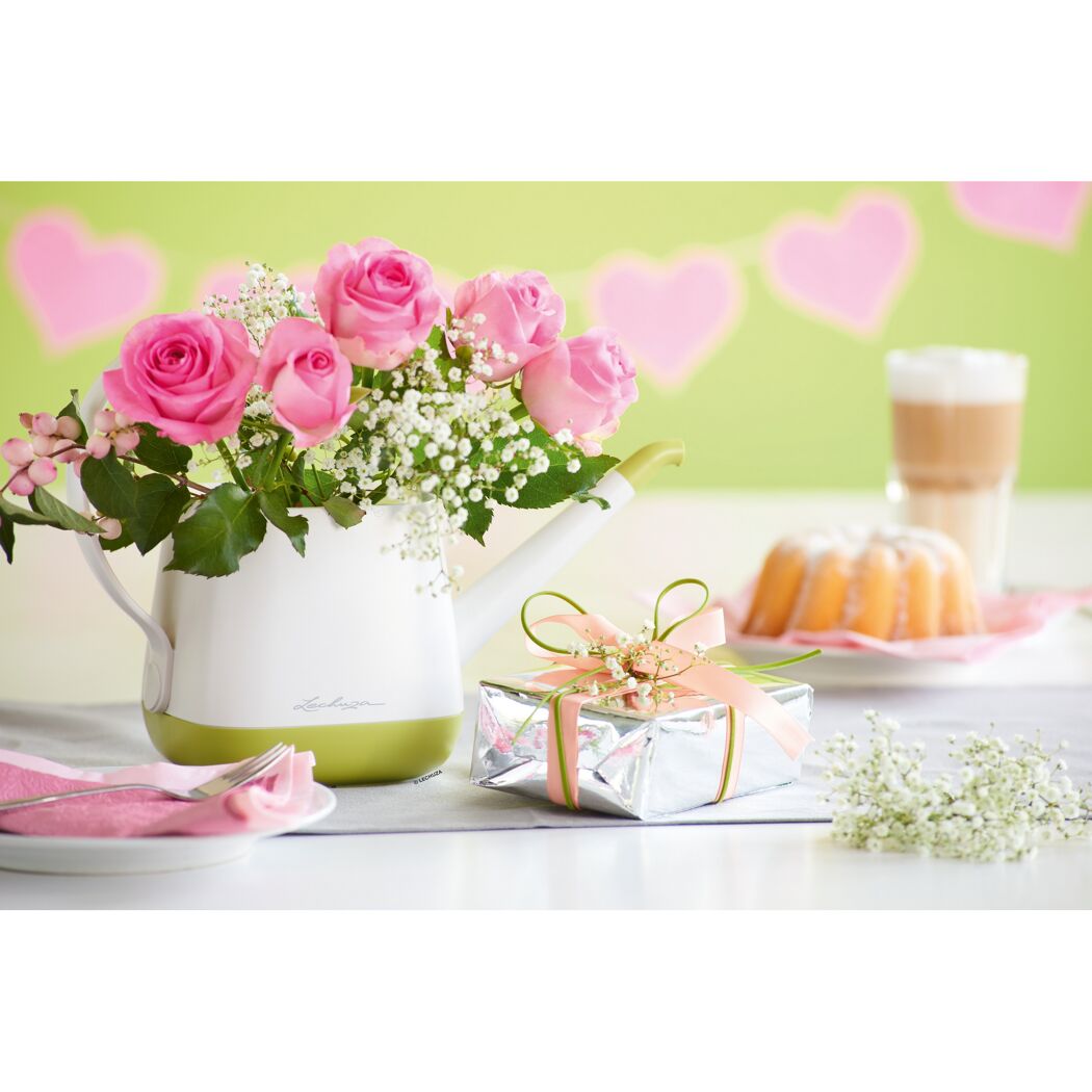 Rosa Rosen in weißer Gießkanne mit Geschenk
