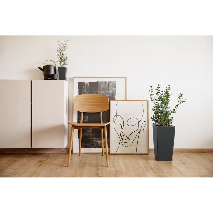 Holzstuhl, grauer Blumentopf, Bilder und Sideboard
