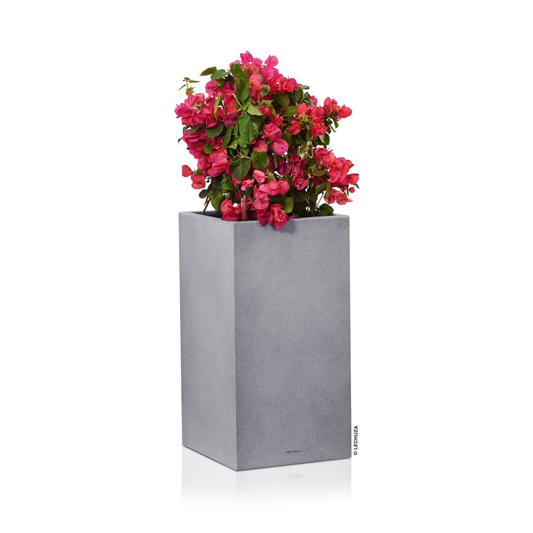 Grauer, rechteckiger, hoher Blumentopf mit rosa Bougainvillea
