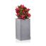 Grauer, rechteckiger, hoher Blumentopf mit rosa Bougainvillea