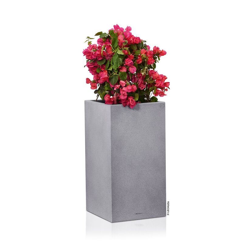 Grauer, rechteckiger, hoher Blumentopf mit rosa Bougainvillea