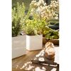 Zwei weiße Übertöpfe Cube Glossy 14cm mit Kräutern
