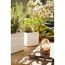 Zwei weiße Übertöpfe Cube Glossy 14cm mit Kräutern