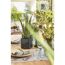 Aloe Vera Pflanze im Übertopf Cube Glossy