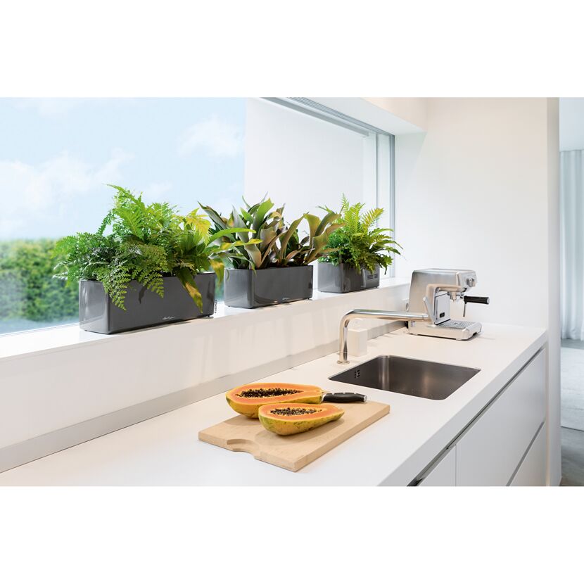 Drei graue Blumenkästen auf einer Küchenfensterbank