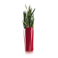 Verkleinertes Bild von Pflanzgefäß 'DELTA Premium 30' Kunststoff scarlet-rot hochglänzend 56 x 30 x 30 cm
