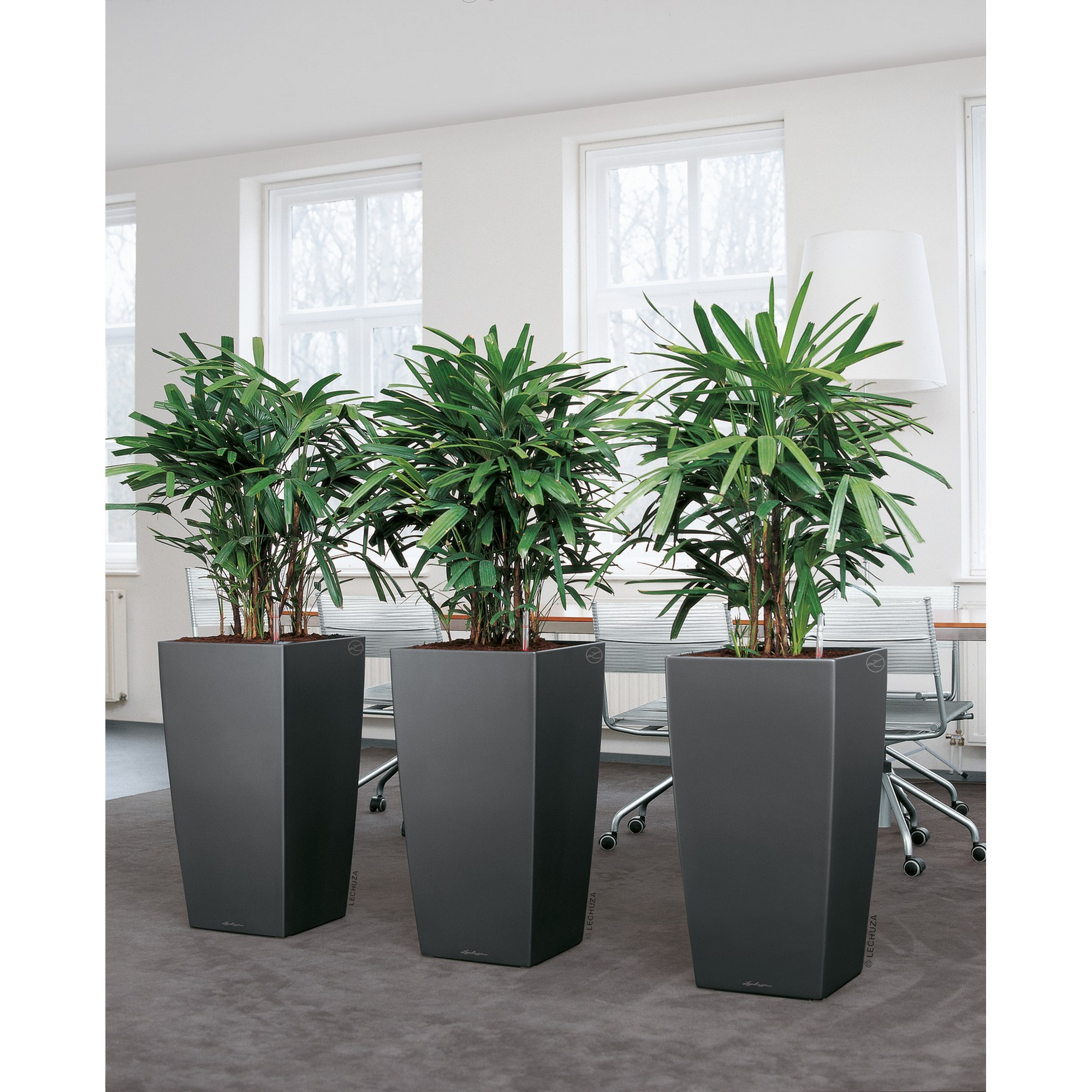 Pflanzgefäß 'CUBICO Premium 40' Kunststoff anthrazit-metallic 75 x 40 x 40 cm