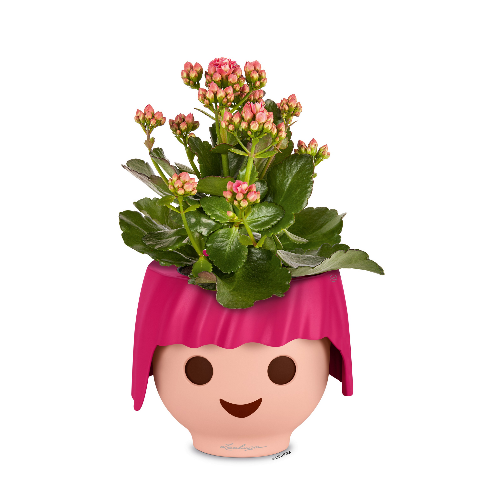 Rosa-beiger Übertopf mit Gesicht und rosa Haaren, bepflanzt mit rosa Kalanchoe