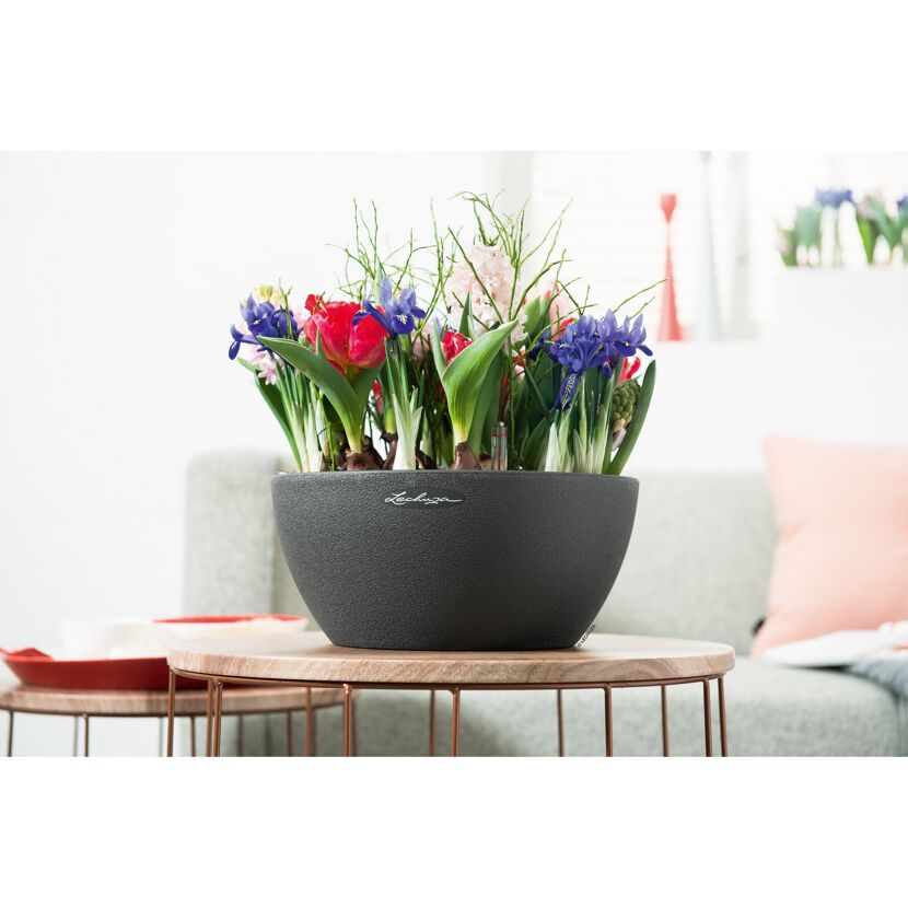 Blumen in einer grauen Schale Cubeto Stone von Lechuza.