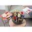 Blumentopf mit bunten Blumen und Blumenzwiebeln