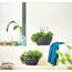 Zwei Schalen Cubeto Stone 30cm, graphitschwarz bepflanzt