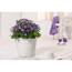 Verkleinertes Bild von Blumenkasten 'RUSTICO Color 35' weiß, Komplett-Set