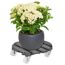 Pflanzenroller WPC anthrazit Ø 38,5 cm