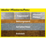 Verkleinertes Bild von Fugensand 'Unkrautfrei' sand/naturfarben 0-2 mm 20 kg