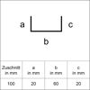 U-Profil 100 x 20 x 60 x 20 mm