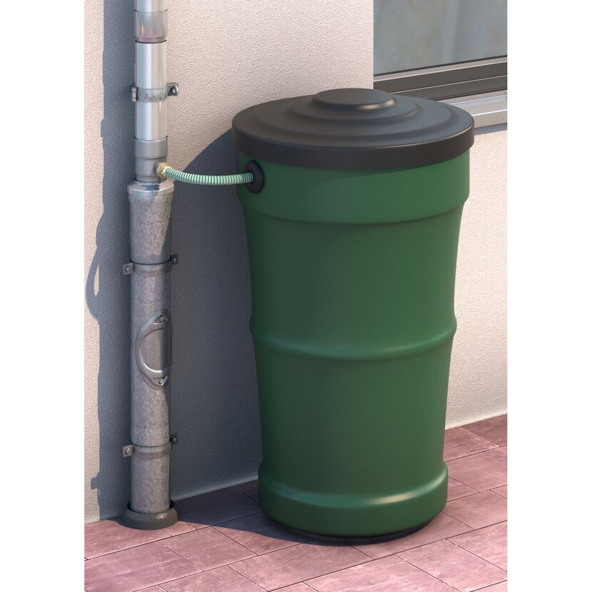 Grüner Regenwassersammler, Schlauch, Fallrohr