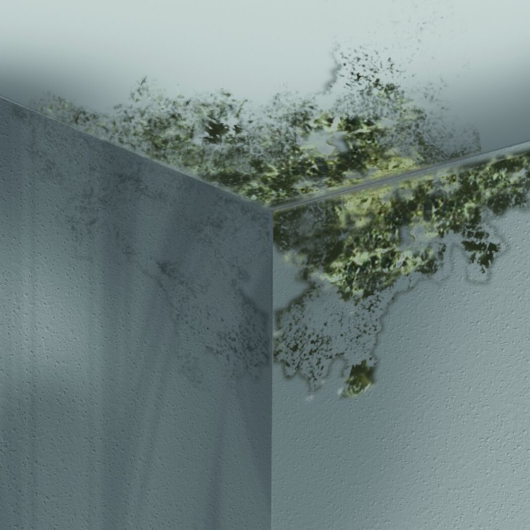 Schimmel in der Ecke einer Zimmerdecke