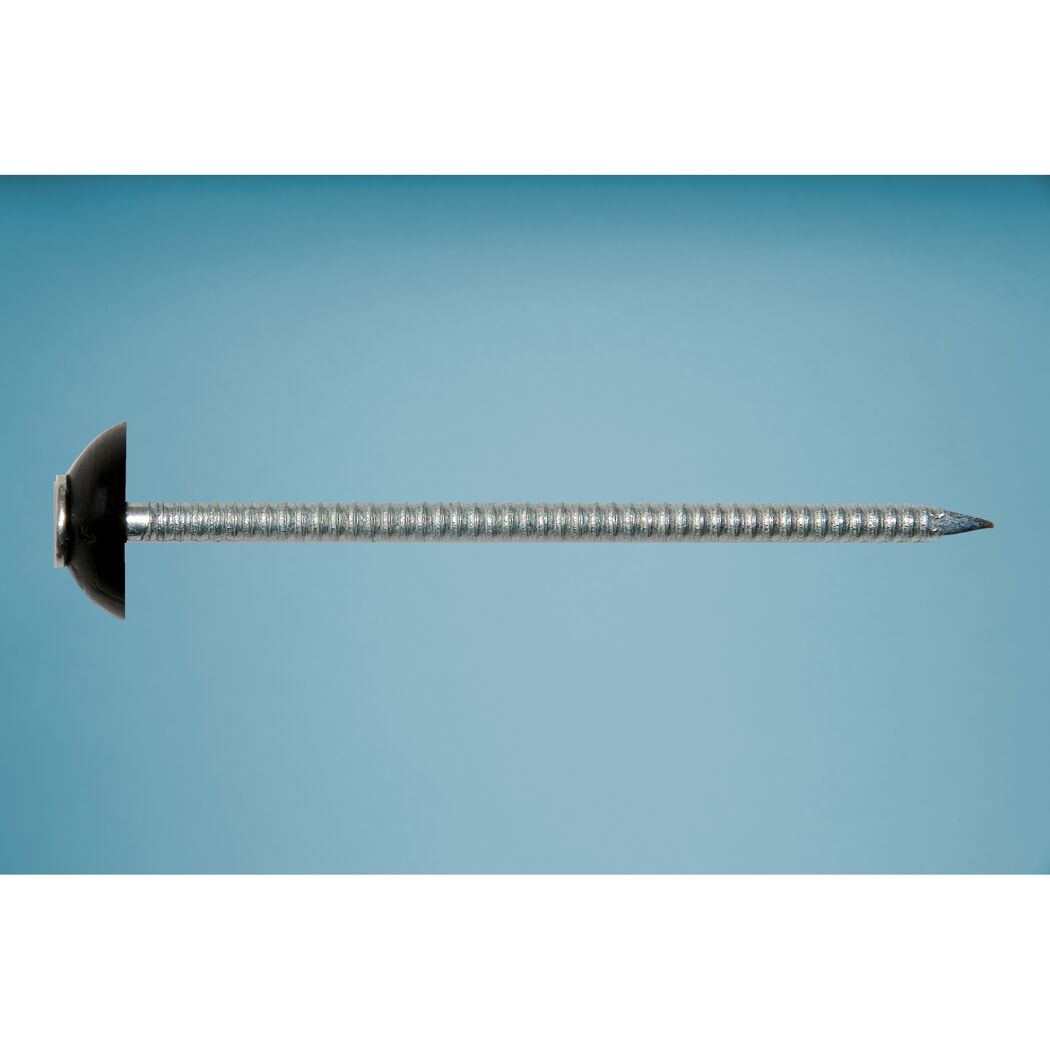 Drahtstift mit schwarzem Kopf