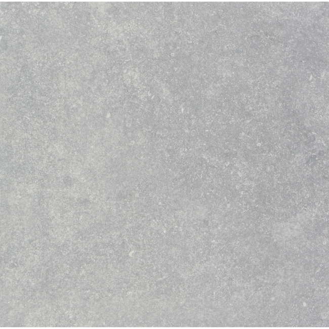 Bild von Bodenfliese 'Petit Granite' Feinsteinzeug grau 60 x 60 cm