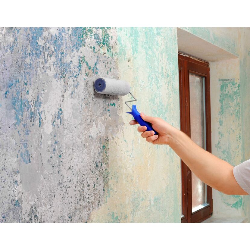 Person streicht eine Wand mit einer Farbrolle.