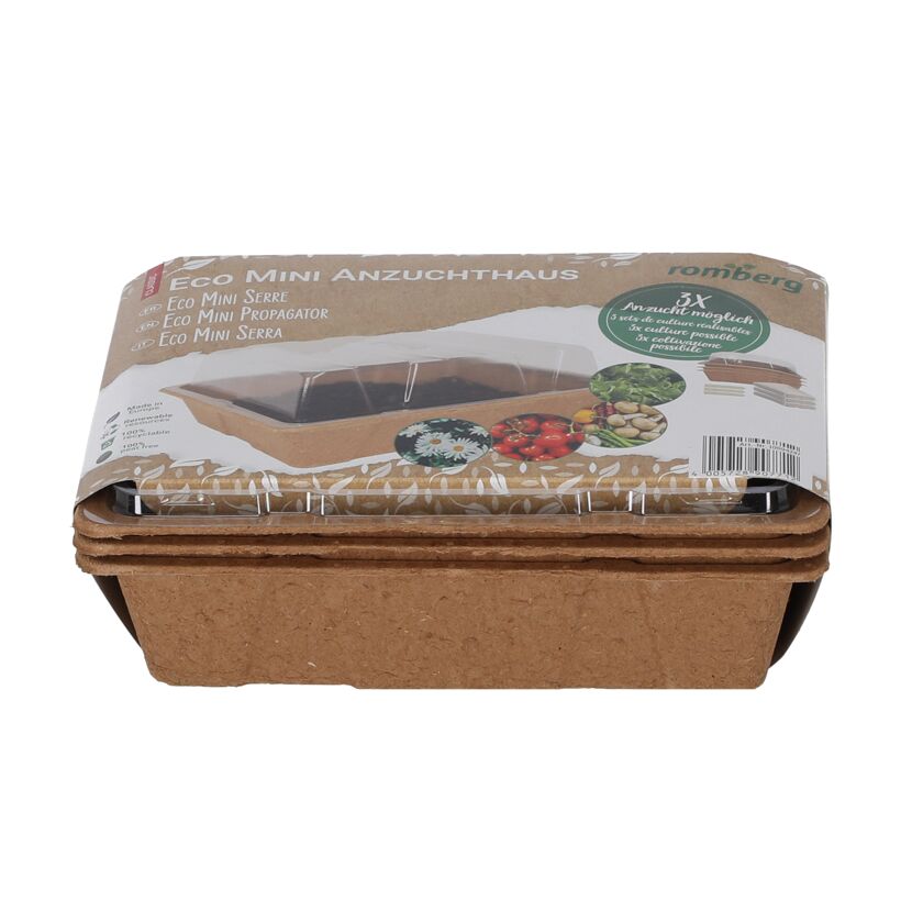 Mini-Anzuchtgewächshaus aus Pappe